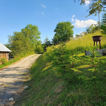 Cabana Valea Lui Mas Robaia Bagian luar foto