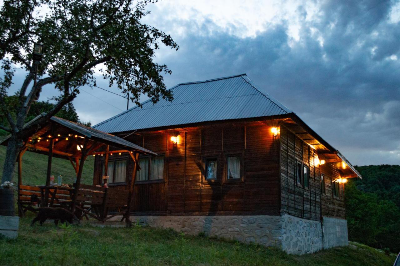 Cabana Valea Lui Mas Robaia Bagian luar foto