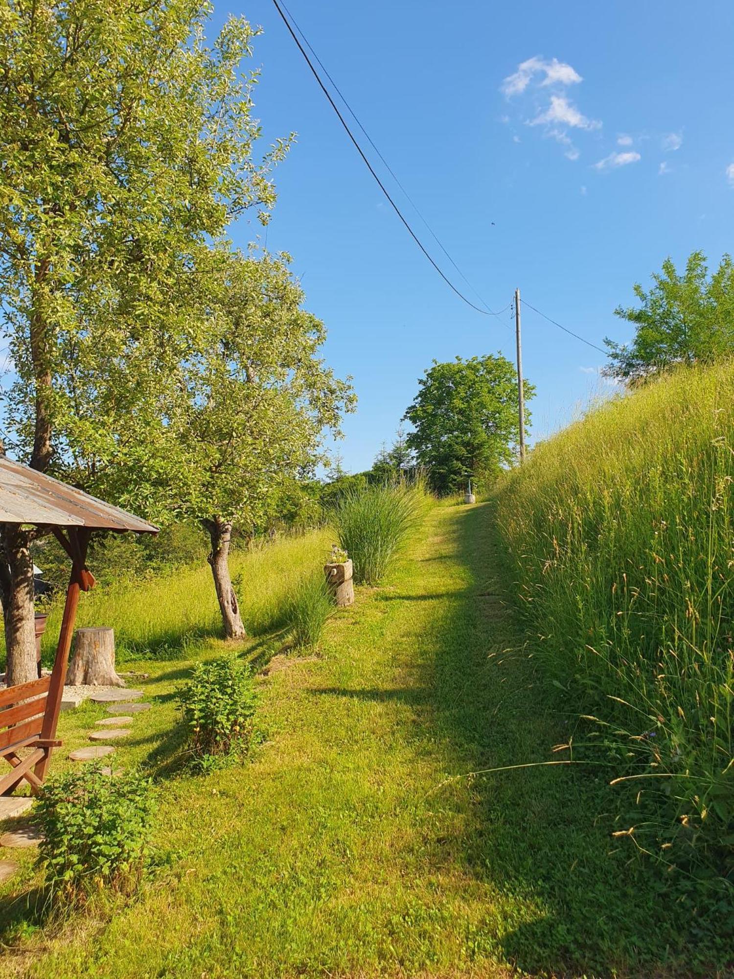 Cabana Valea Lui Mas Robaia Bagian luar foto