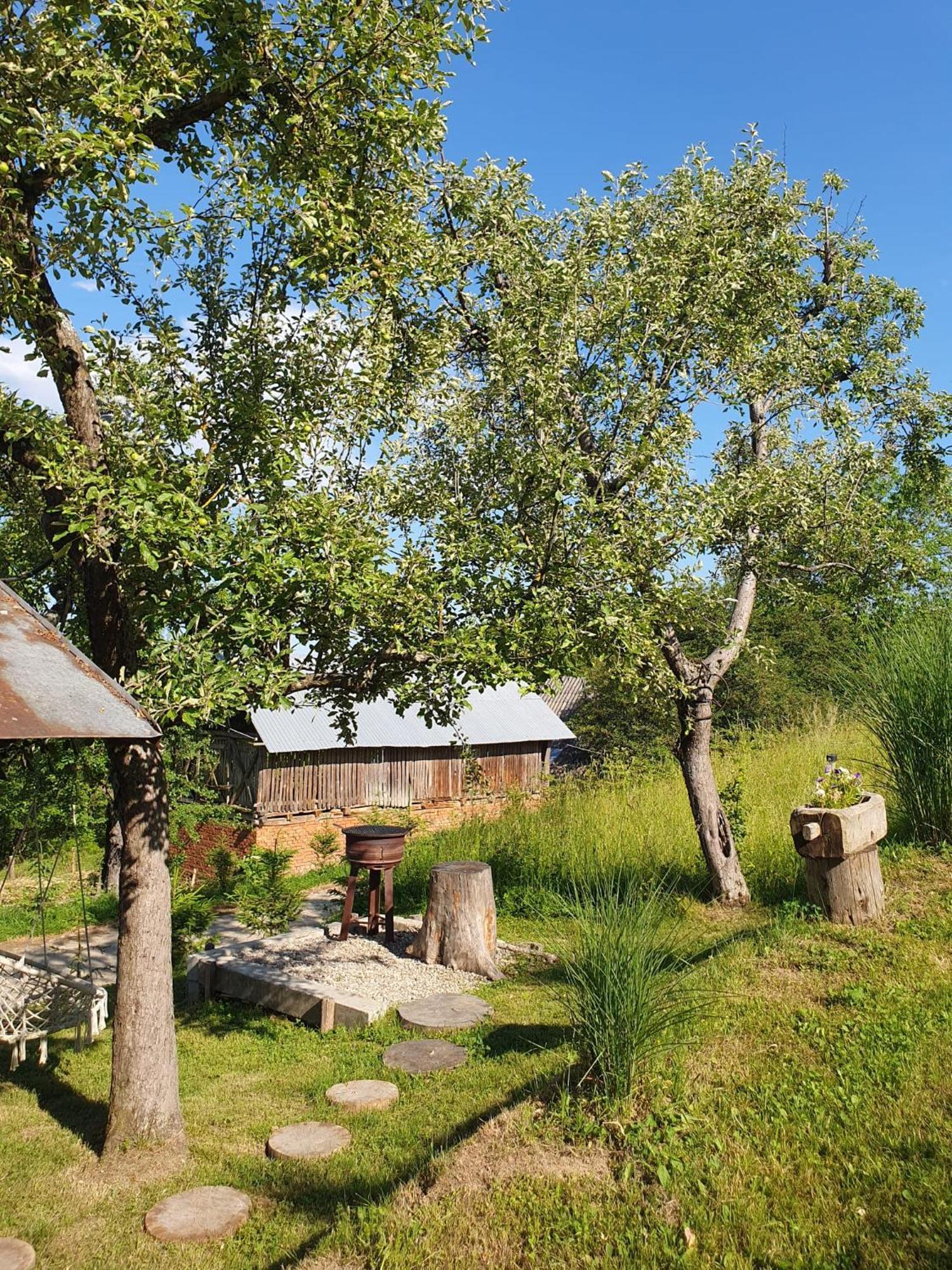Cabana Valea Lui Mas Robaia Bagian luar foto