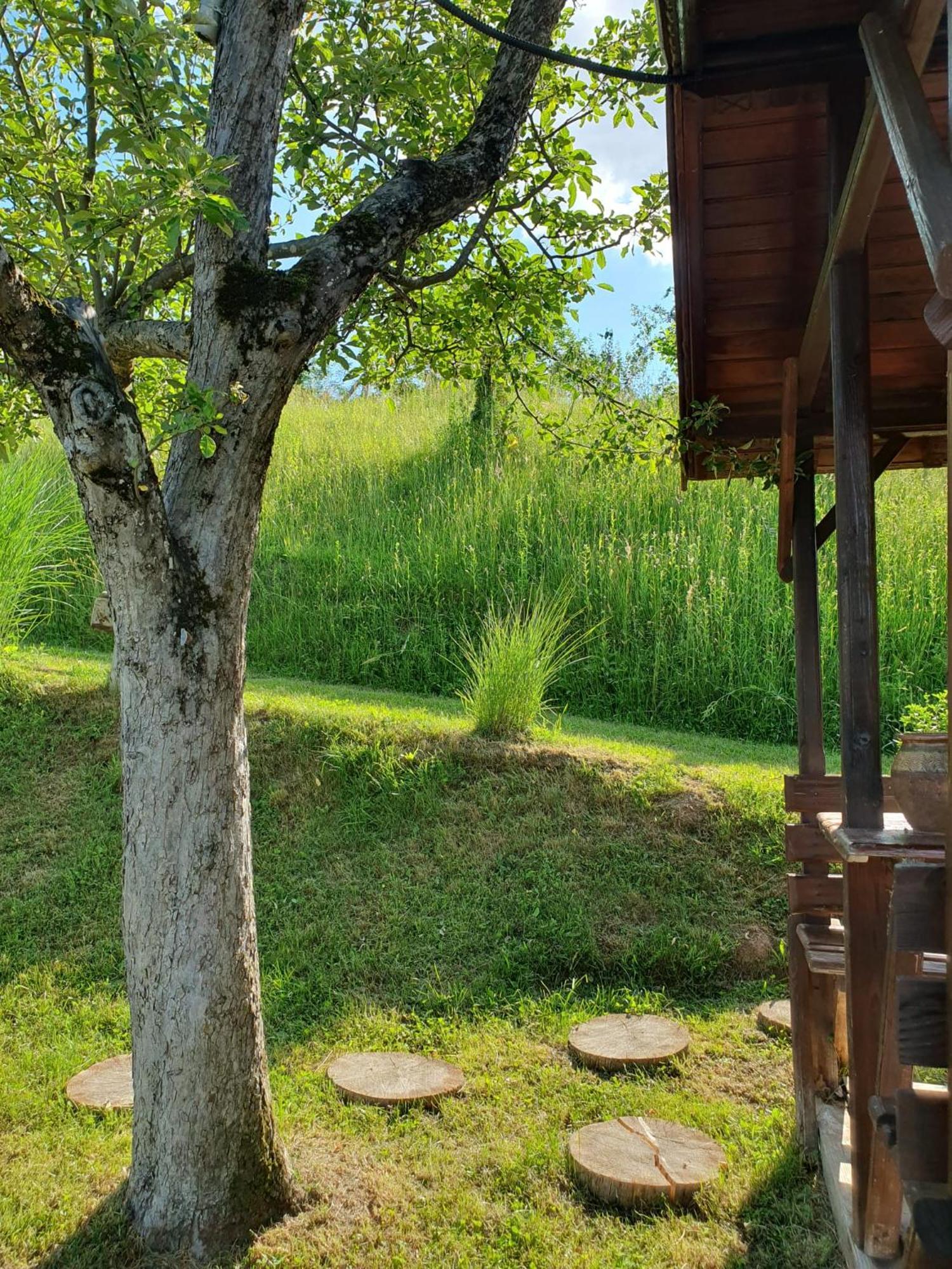 Cabana Valea Lui Mas Robaia Bagian luar foto