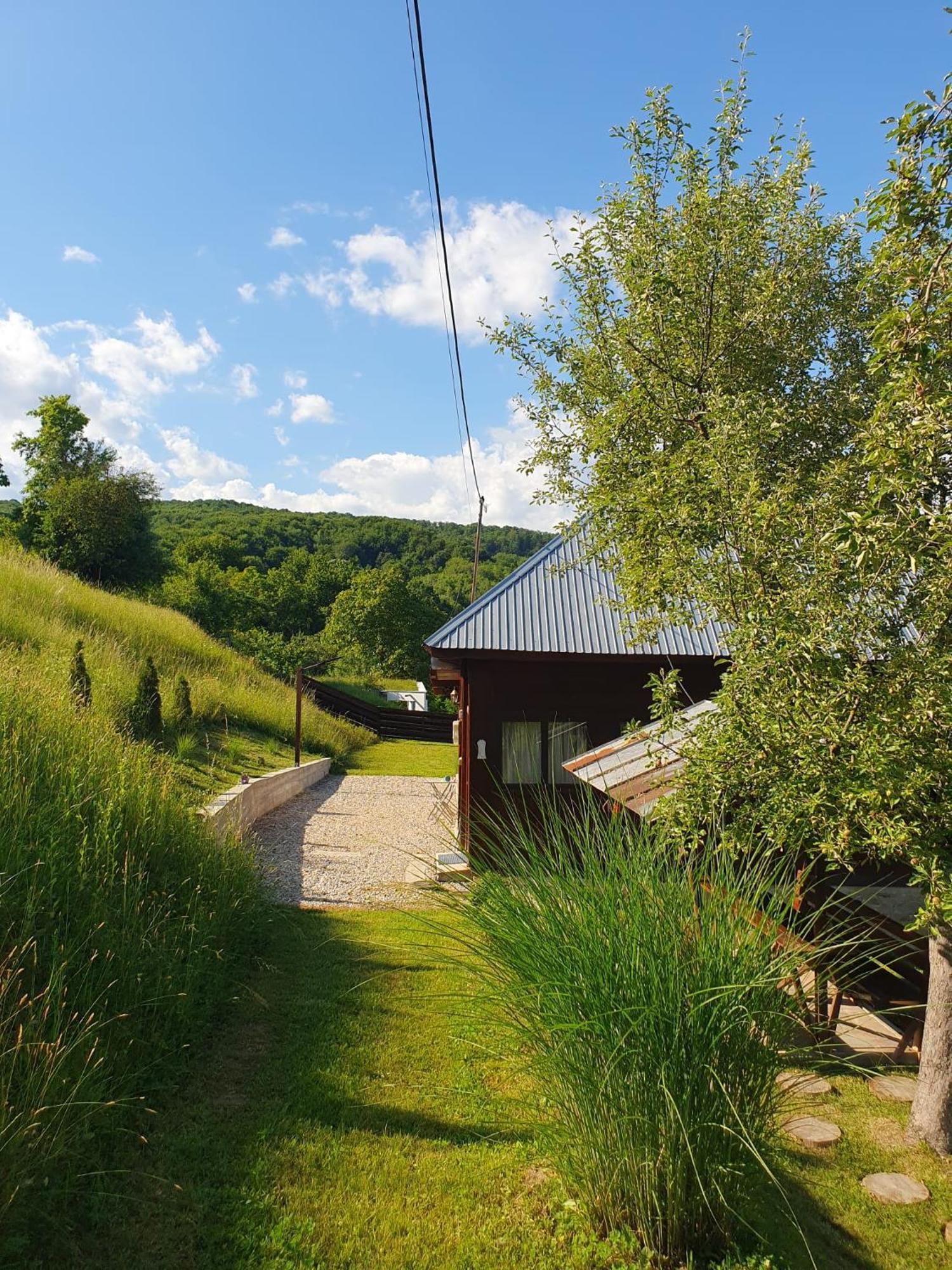 Cabana Valea Lui Mas Robaia Bagian luar foto