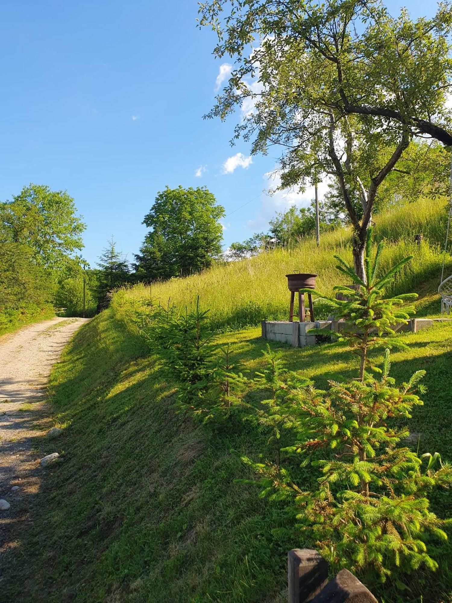 Cabana Valea Lui Mas Robaia Bagian luar foto