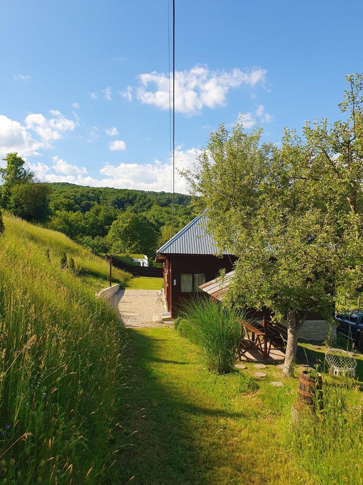 Cabana Valea Lui Mas Robaia Bagian luar foto