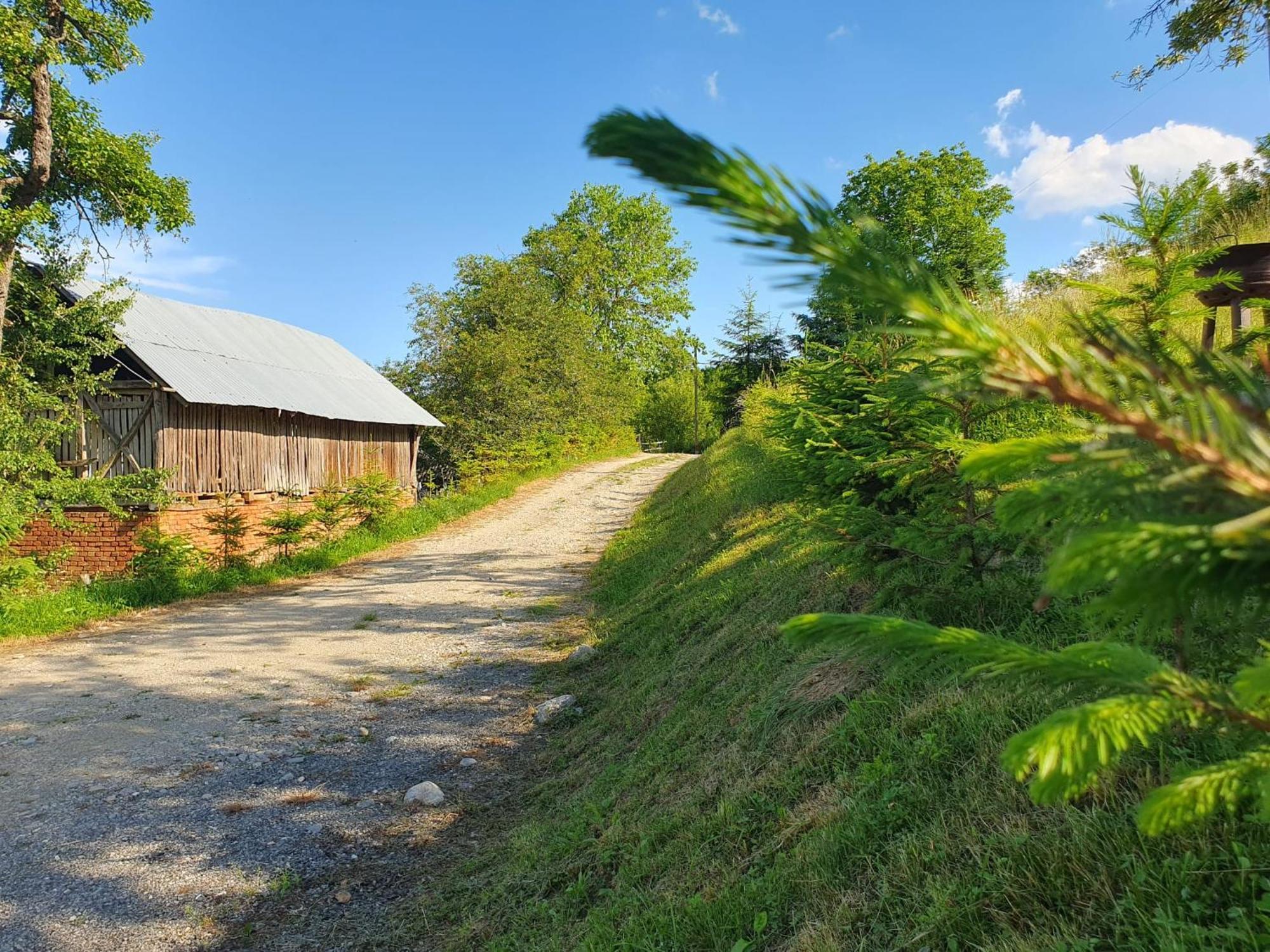 Cabana Valea Lui Mas Robaia Bagian luar foto