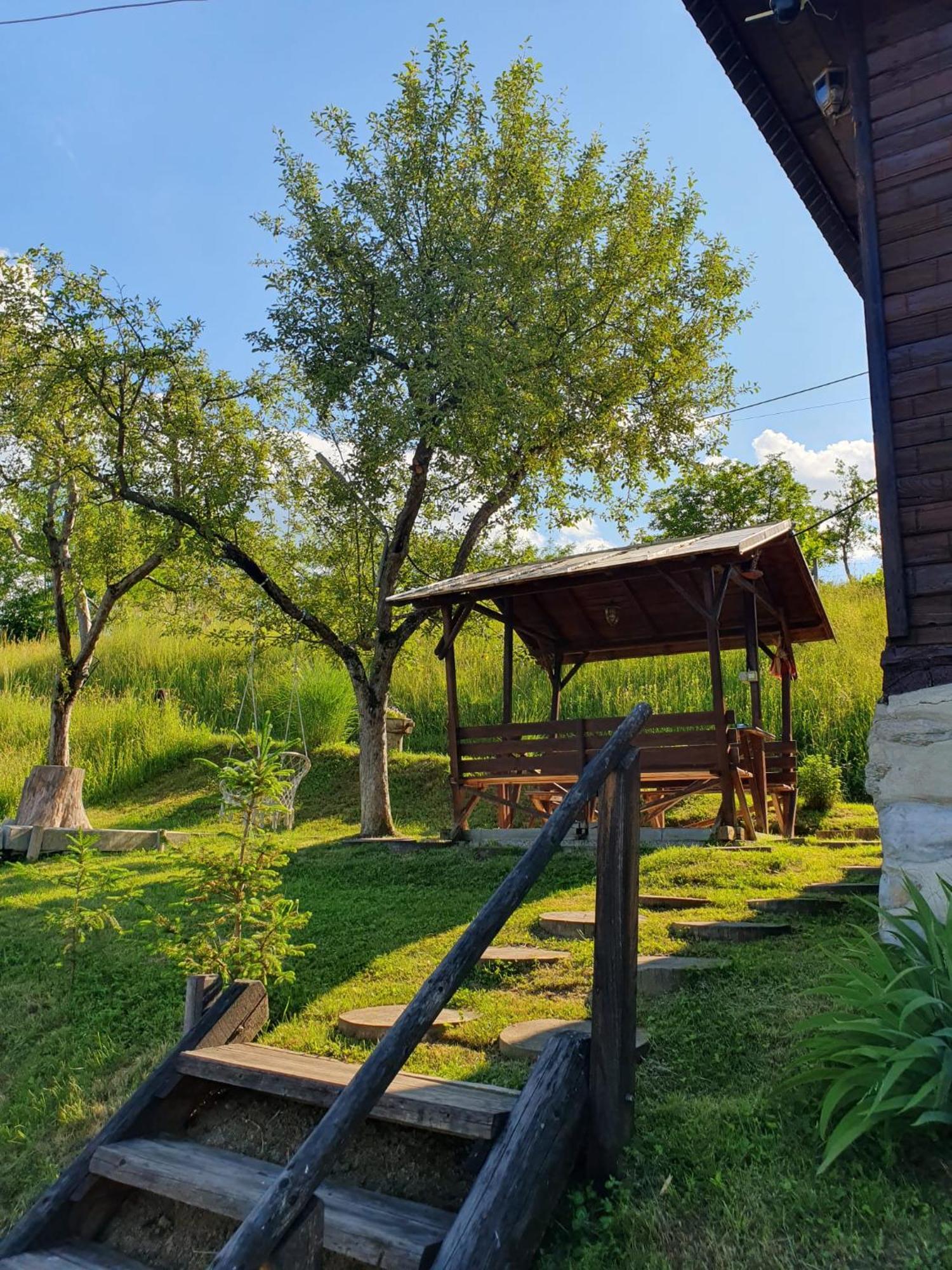 Cabana Valea Lui Mas Robaia Bagian luar foto