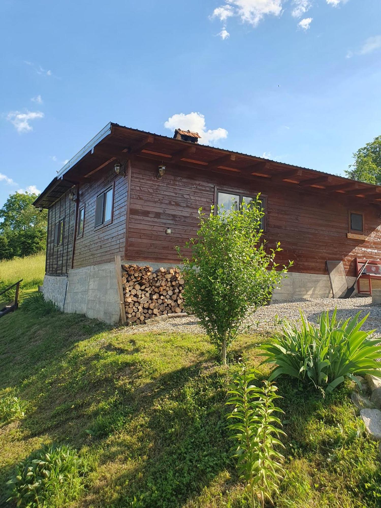 Cabana Valea Lui Mas Robaia Bagian luar foto