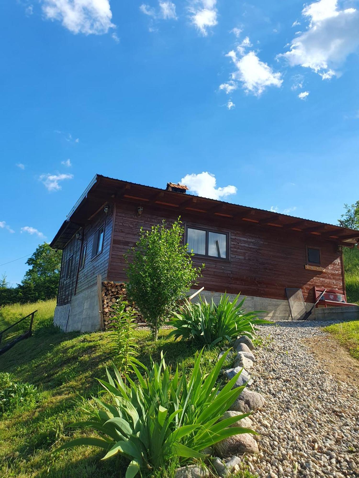Cabana Valea Lui Mas Robaia Bagian luar foto