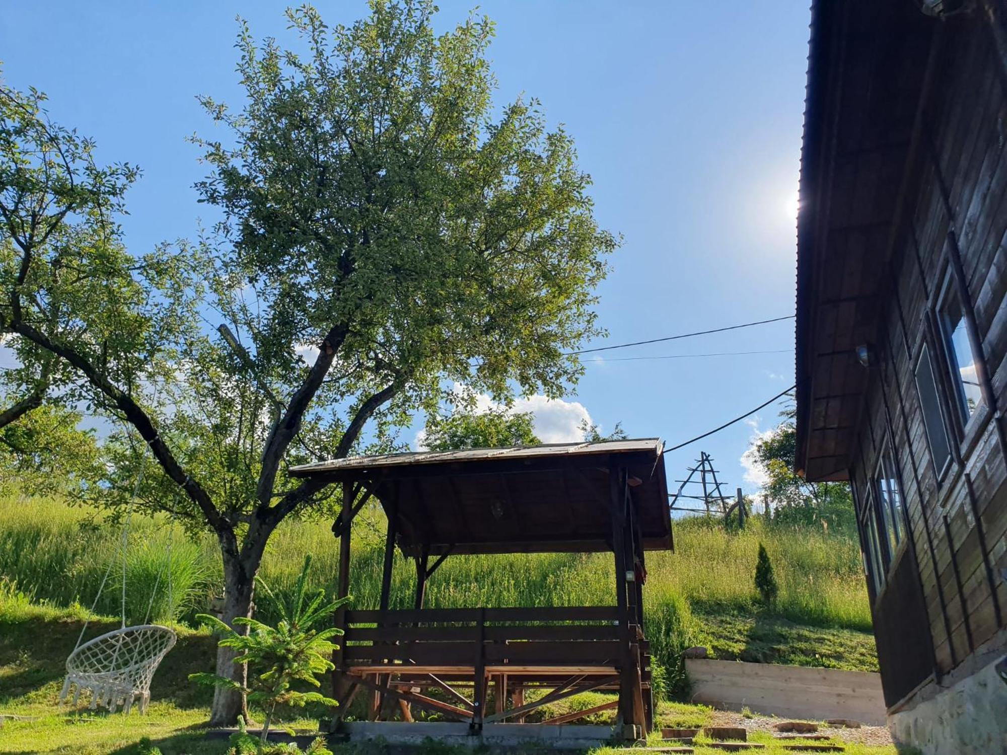 Cabana Valea Lui Mas Robaia Bagian luar foto