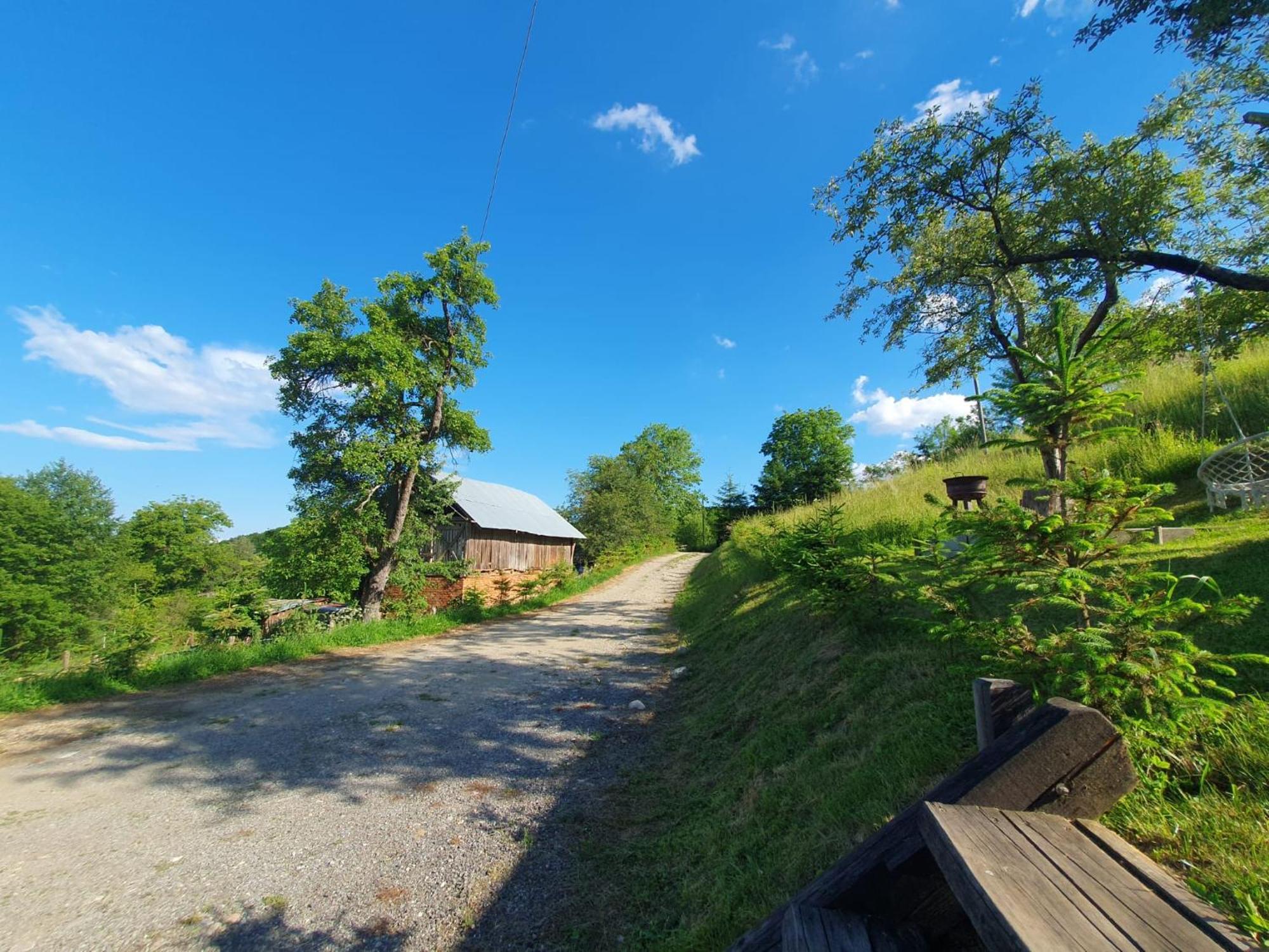 Cabana Valea Lui Mas Robaia Bagian luar foto