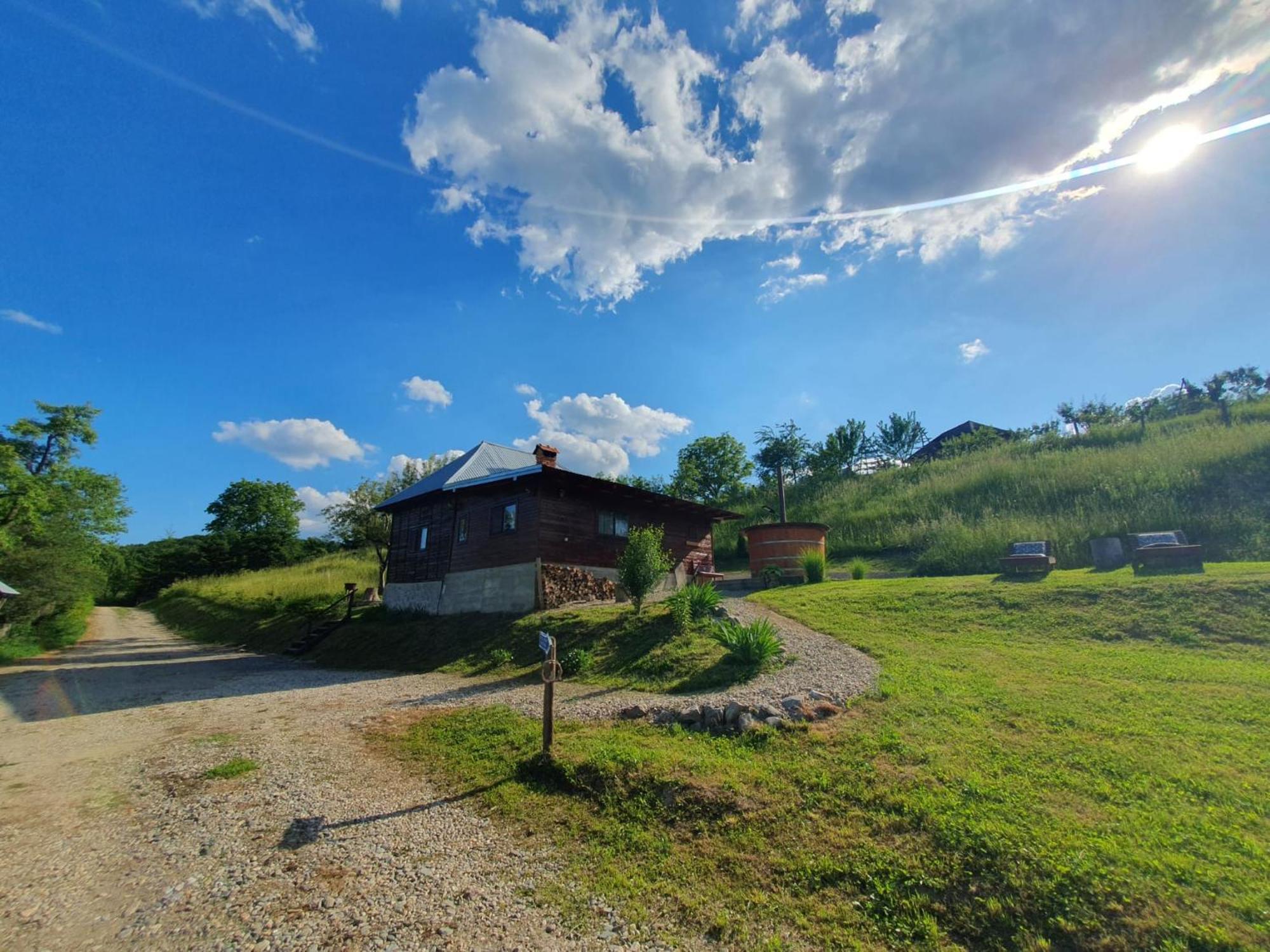 Cabana Valea Lui Mas Robaia Bagian luar foto