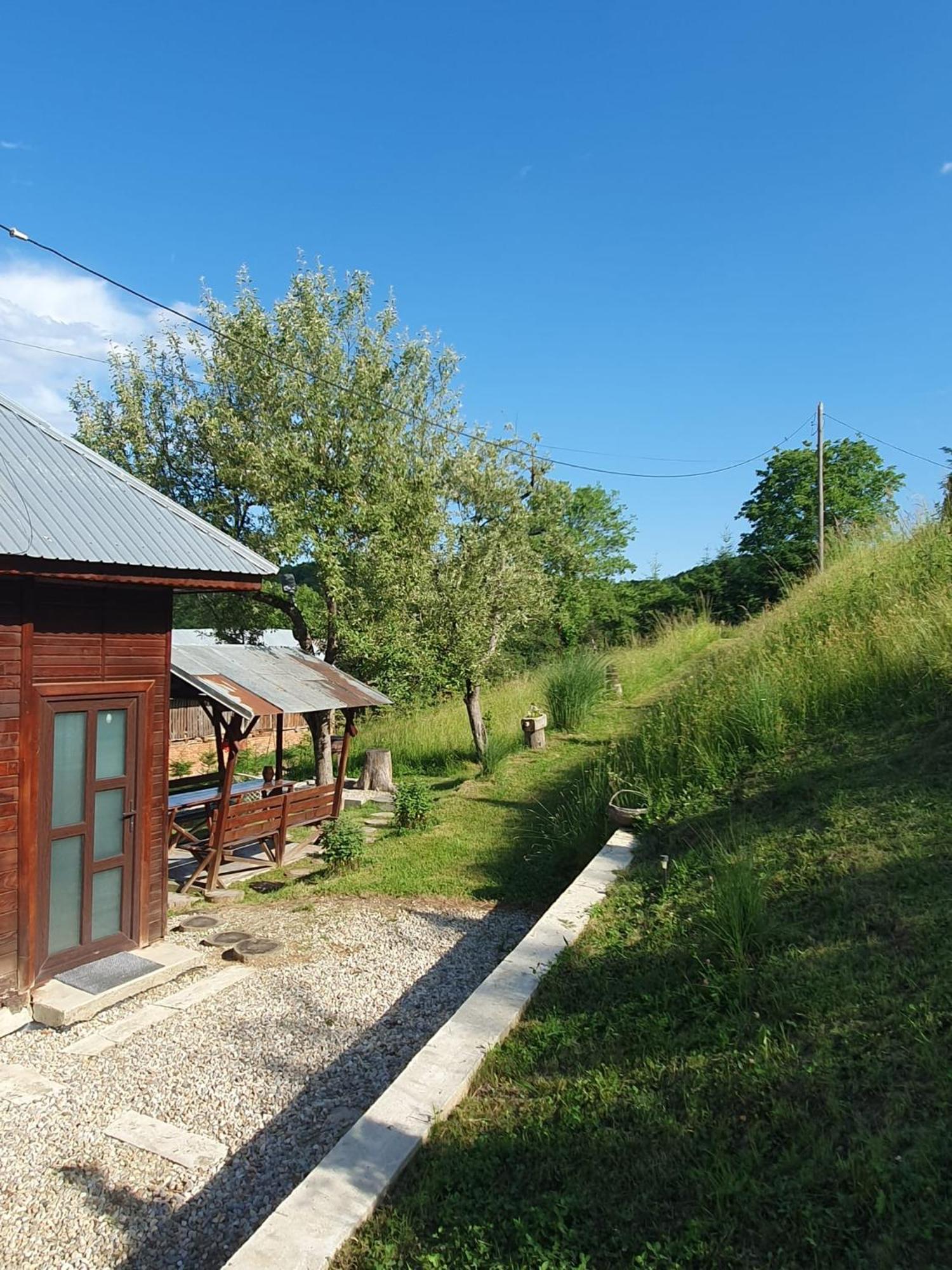 Cabana Valea Lui Mas Robaia Bagian luar foto
