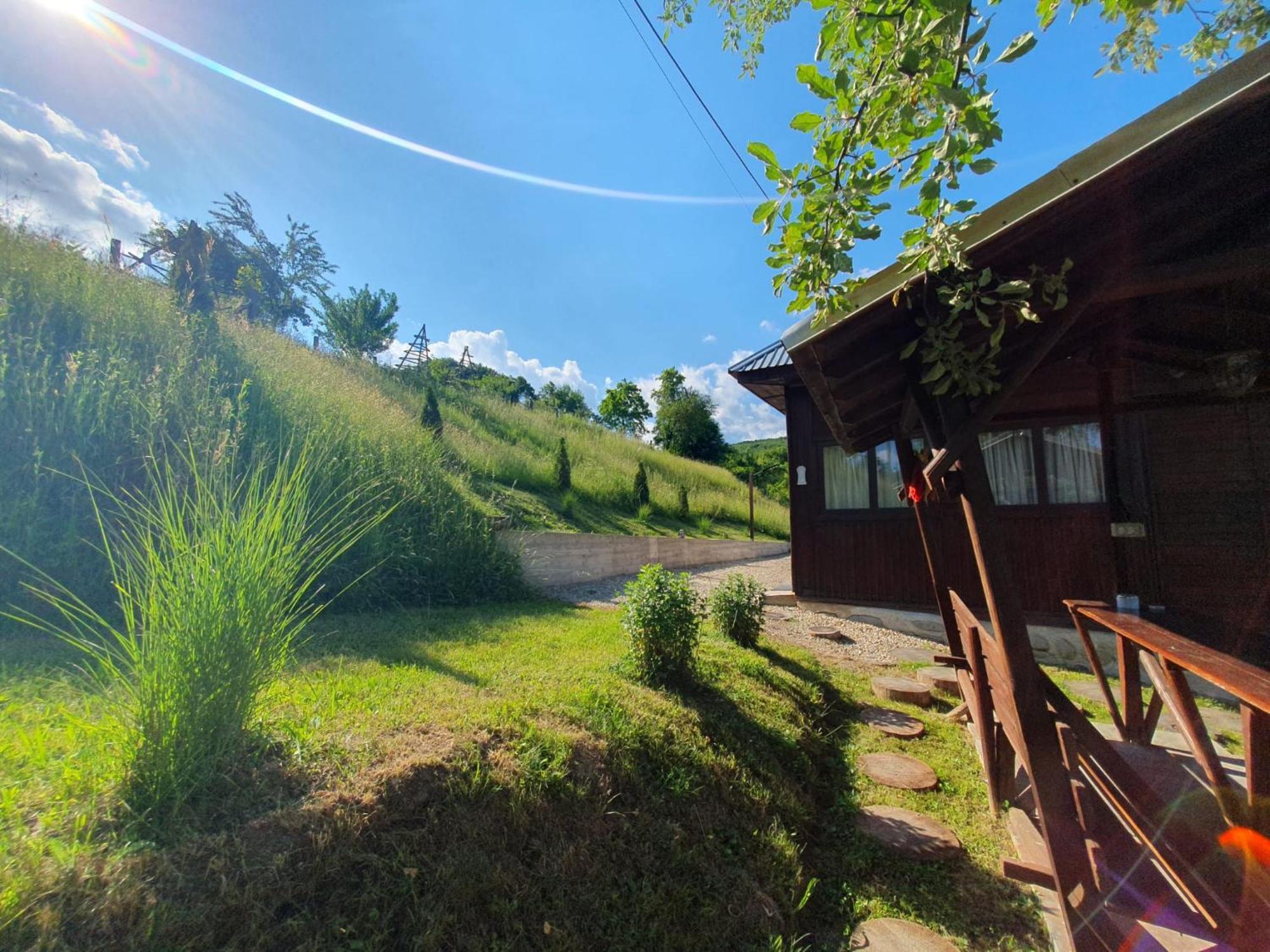 Cabana Valea Lui Mas Robaia Bagian luar foto
